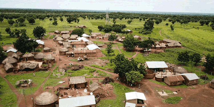 Climate Research
