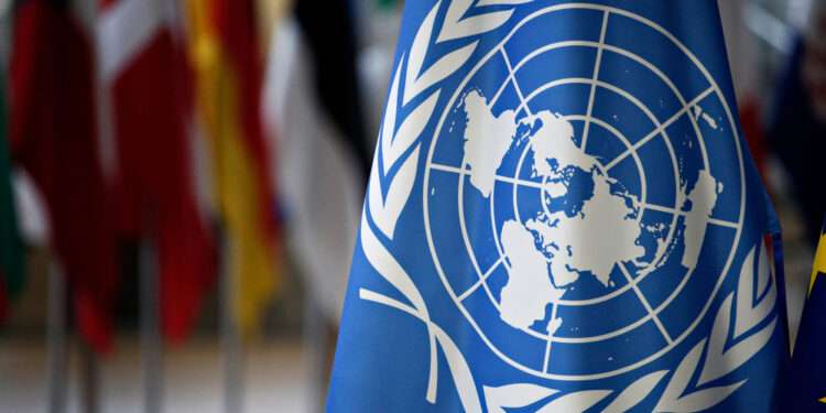 UN flag