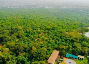 Achimota Forest Reserve