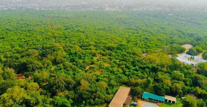 Achimota Forest Reserve