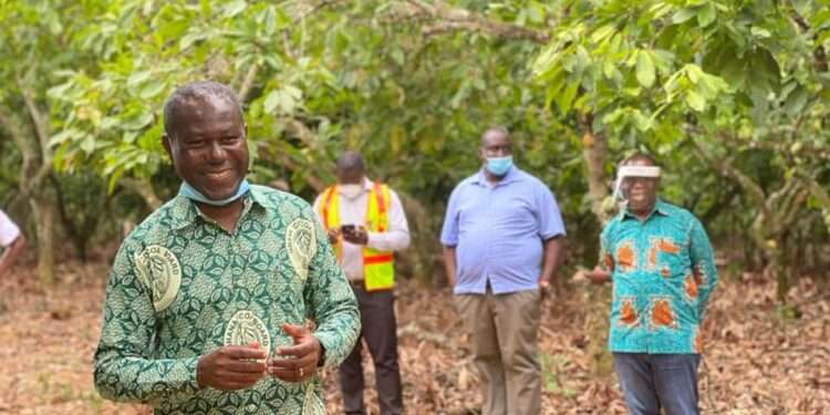 Cocobod CEO Inspects Cocoa Farms