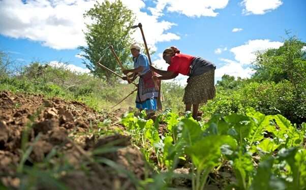 Farmers