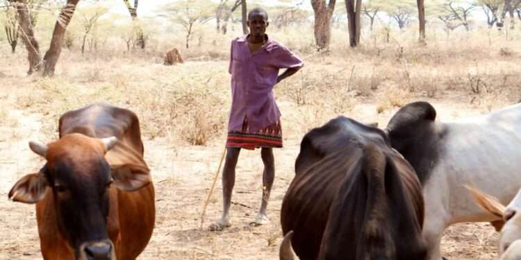 Rising Temperatures Threaten Global Food Production- Study Reveals