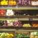 vegetables 1