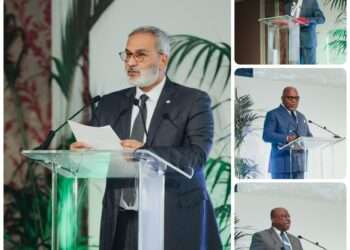 African energy invest