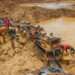 miners on illegal mining fight