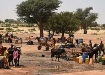 Children and women collect water in a village in Niger