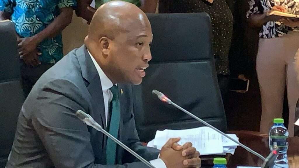 Samuel Okudzeto Ablakwa 6