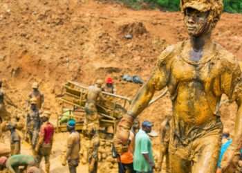 A Forest destroyed by the activities of illegal mining