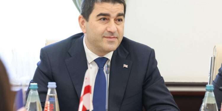 Georgian Parliament Speaker Shalva Papuashvili.