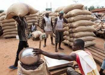 COCOBOD Launches Balanced Scorecard to Drive Performance and Revitalise Cocoa Sector