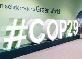 COP29