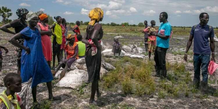 In Rupchai (Unity State), South Sudan, people collect food which was dropped from an airplane