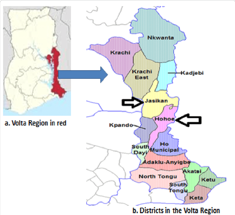 Map of Ghana showing a Volta Region in red and b Districts in the Volta region