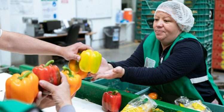 A woman sorts peppers at a factory in Poncitlan, Mexico