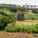 Pwalugu Multipurpose Dam Project