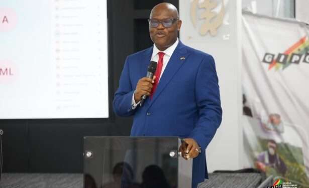 GIPC CEO Unveils Plans to Anchor Ghana’s Investment Boom