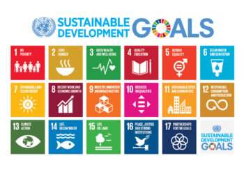 17 SDGs