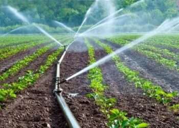 Water-Mechanization-System-Watering-Crops