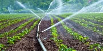 Water-Mechanization-System-Watering-Crops