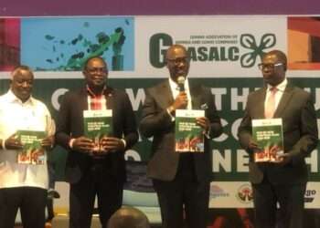 Gov’t to Launch Microfinance Policy by Year-End to Boost Financial Inclusion