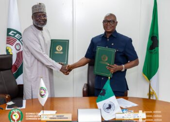 AfDB, ECOWAS Partner To Boost Rice Production