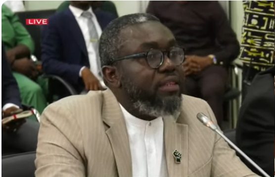 Osagyefo Mawuse Oliver Barker-Vormawor, Legal Practitioner and Activist