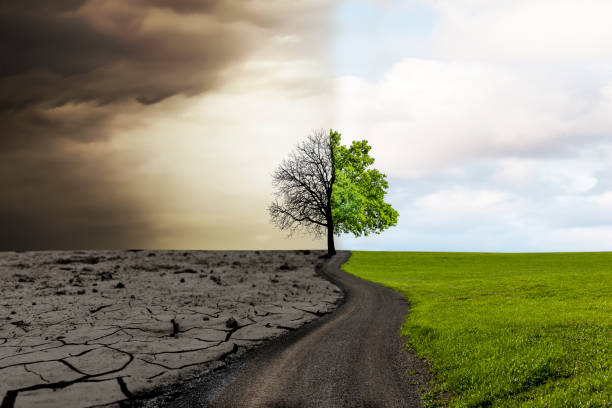 Climate Change