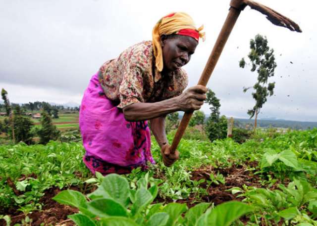 Agriculture: The Backbone of Every Country 3 Farming