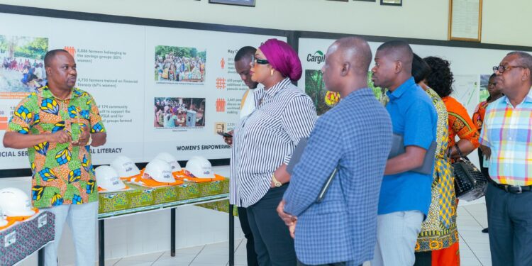 GFZA Boss Engages Key Firms to Boost Industrial Growth 1 Dr. Mary Awusi, Ghana, Free