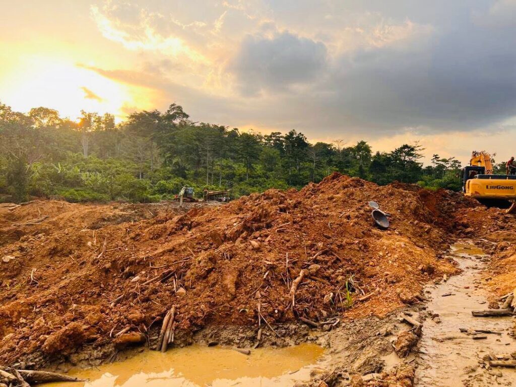 Destruction of Forest Reserve