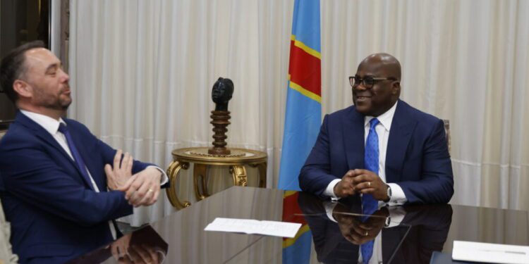 Belgium Warns Caution In Rwanda-Congo Talks