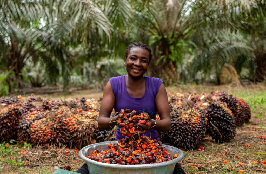 Palm Oil