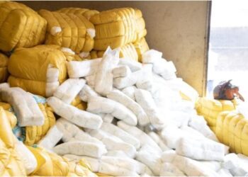 fake diapers on the market
