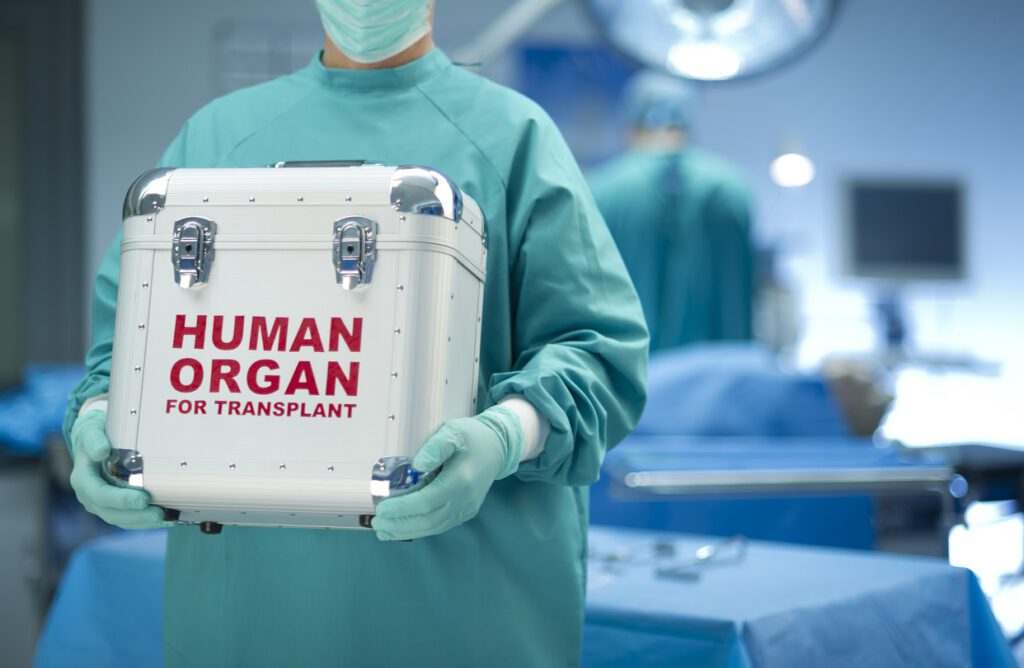 Kidney transpalnt