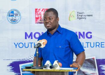 Former Chief Executive Officer of the Youth Employment Agency (YEA), Kofi Agyepong