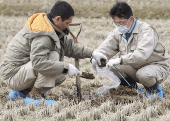 Japan To Use Fukushima Soil In Prime Minister’s Garden To Allay Nuclear Safety Fears