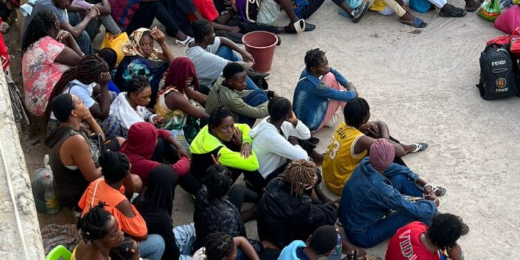 immigration on the look out