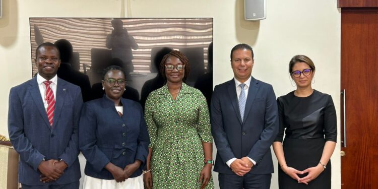 Joyce Bawah Mogtari, With Pfizer Team, Health, Mahama