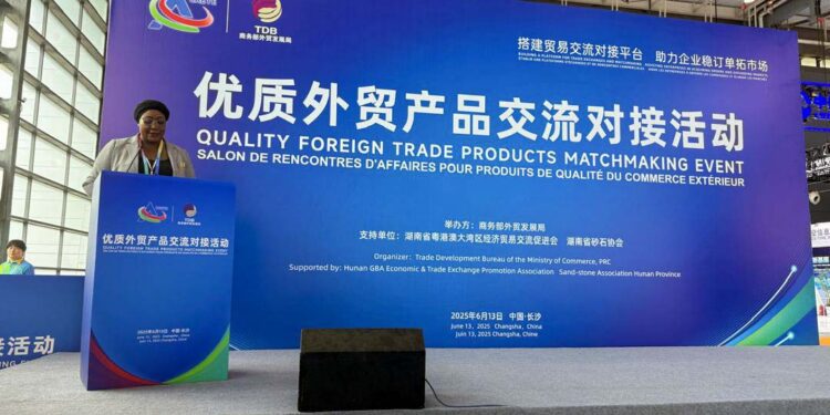 Ghana Courts Chinese Investors at Changsha Trade Matchmaking Event, Ghana, Investment