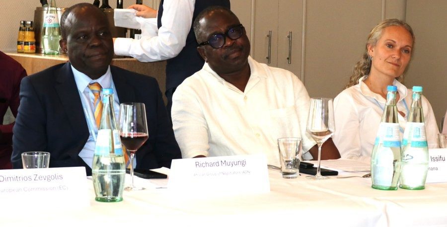 Africa Europe Climate Convening