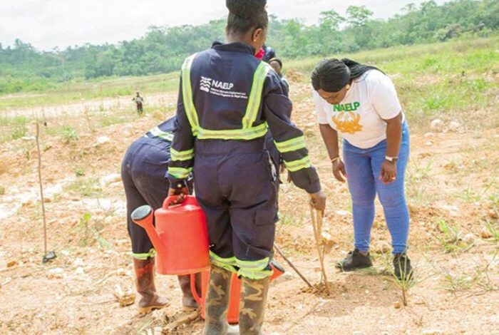 Tree for Life Restoration Initiative