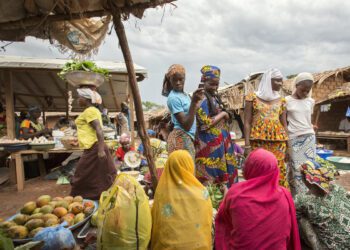 Central Africa remains rich in potential, but the challenges are still significant
