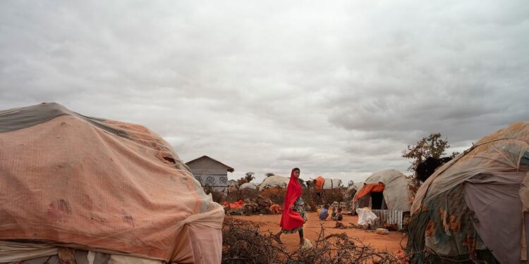 Global Drought Crisis Unfolds With Devastating Impact