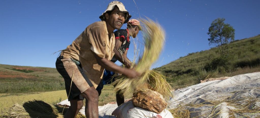 Farmers in madagascar