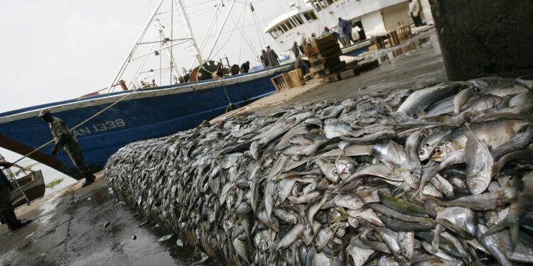Nuclear Science ‘Casts Net’ On Seafood Fraud