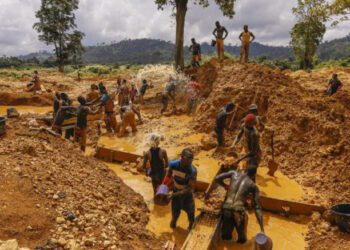 Illegal Mining