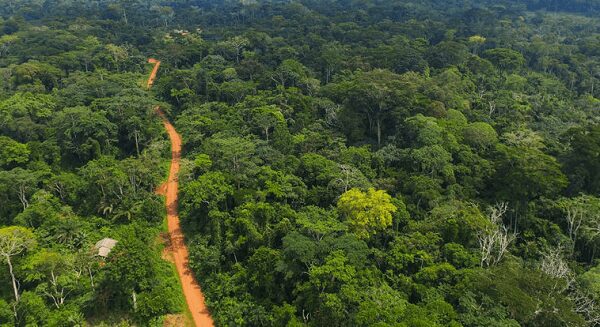 Ghanas Forest Reserves