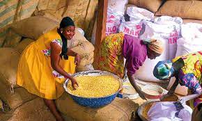 Grains 1
