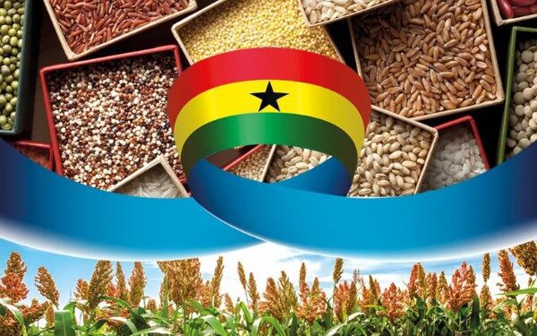 Grains